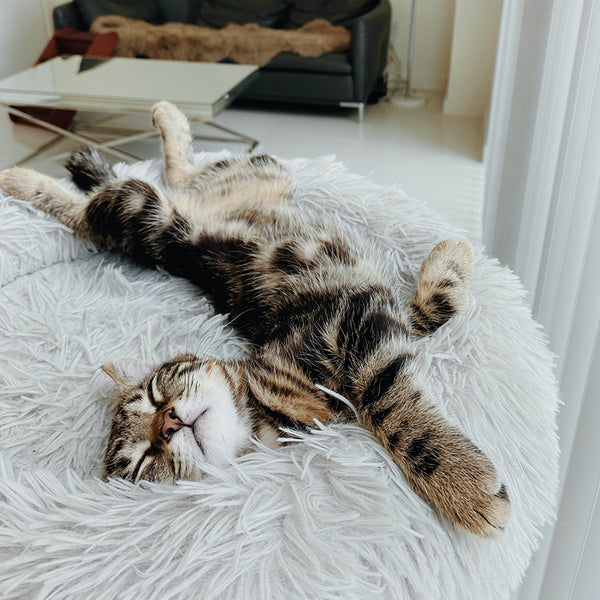 Tabby cat lying on its back in a light grey round plush Brooklyn cat bed