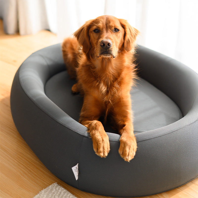 Golden retriever in a dark grey Brooklyn Nest dog bed