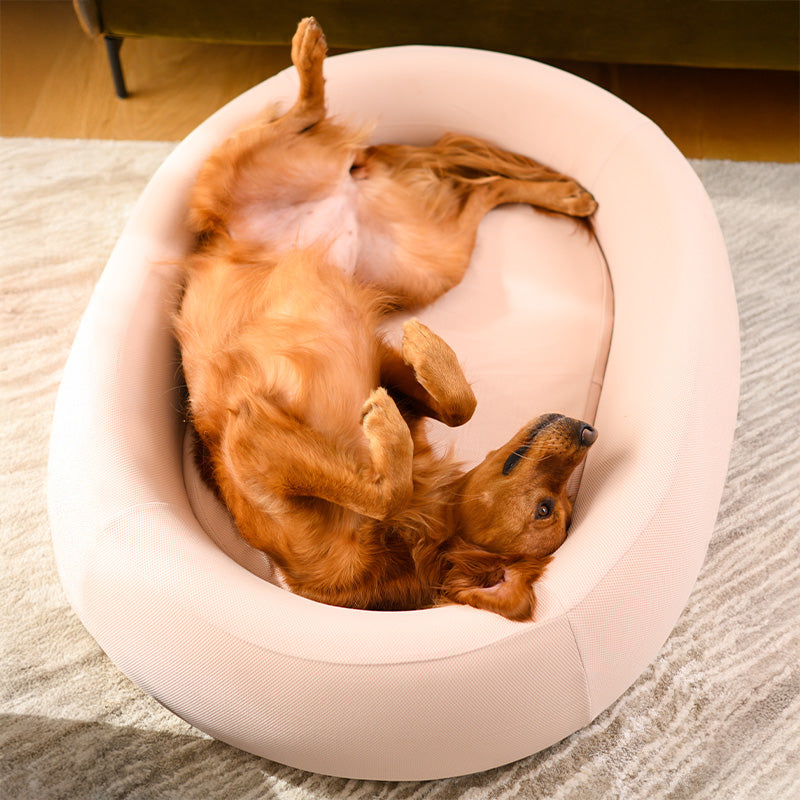 Dog lying on its back in a pink Brooklyn Nest dog bed