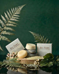 NaturalCare Rice Water shampoo and conditioner bars with ferns