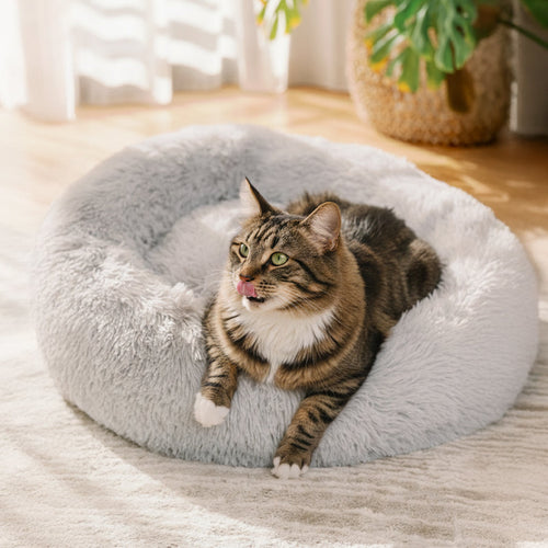 Tabby cat sitting in a light grey round plush Brooklyn cat bed
