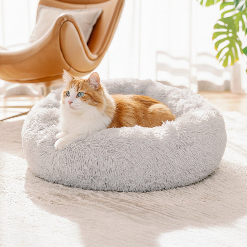 Ginger and white cat in a light grey round plush Brooklyn cat bed