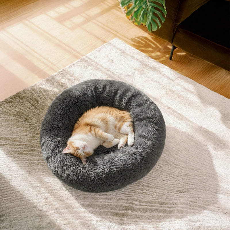 Ginger cat curled up in a dark grey round Brooklyn cat bed on a rug