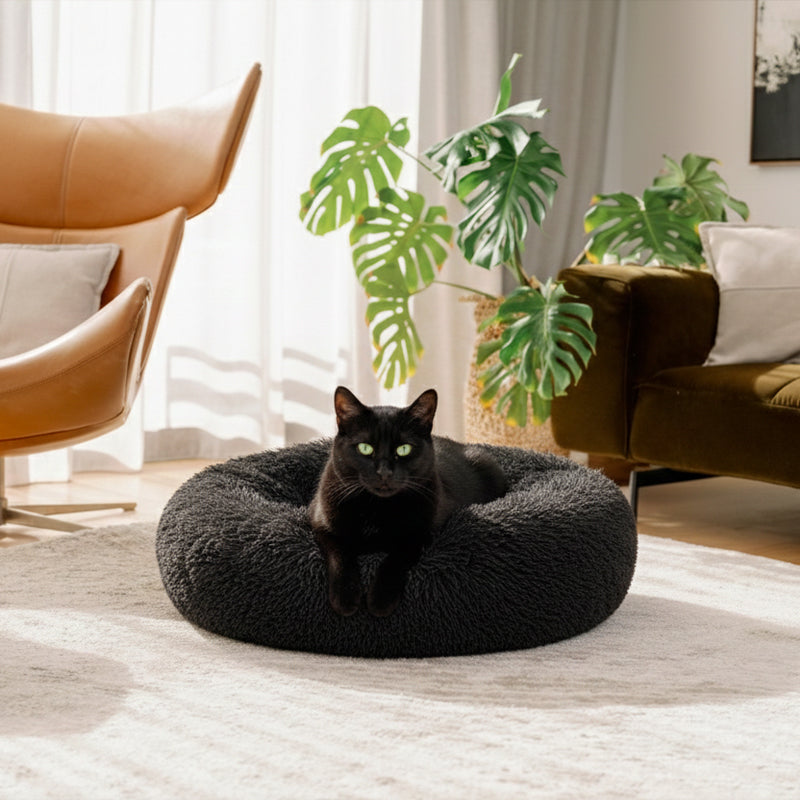 Black cat in a black round plush Brooklyn cat bed in a living room
