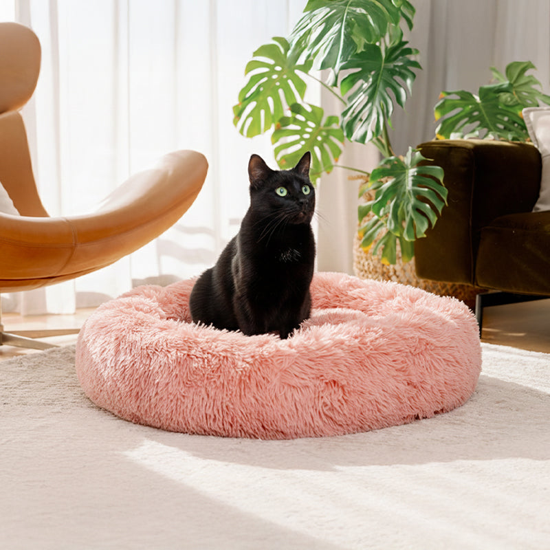 Black cat sitting in a pink round plush Brooklyn cat bed