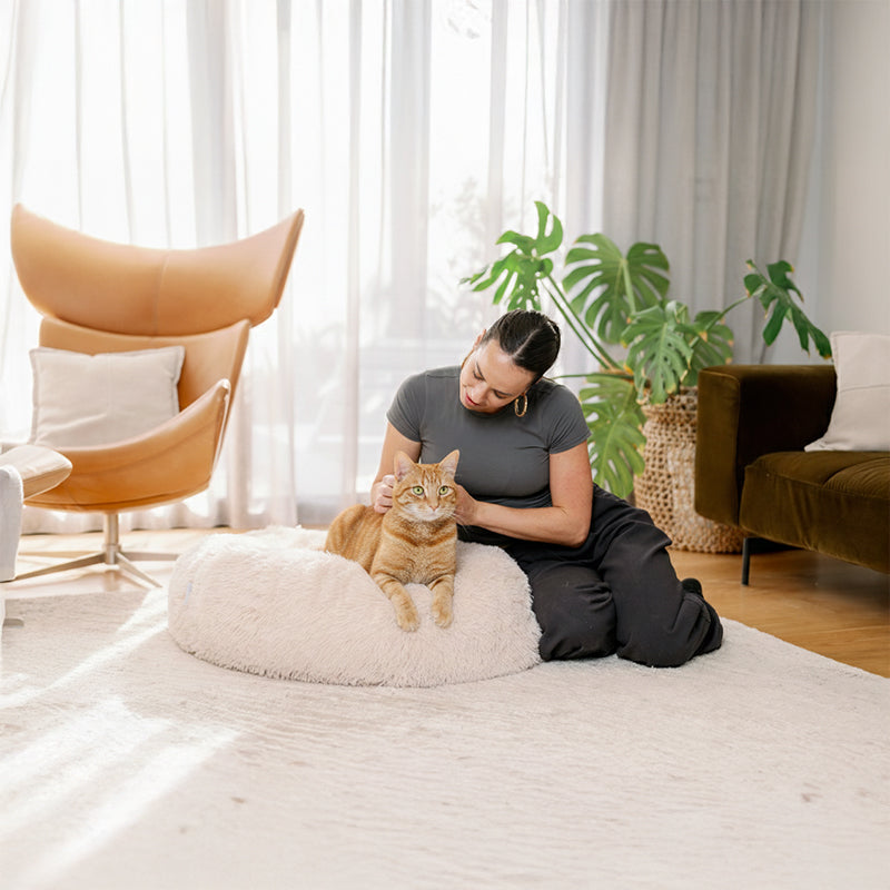 Woman patting a ginger cat in a cream round plush Brooklyn cat bed