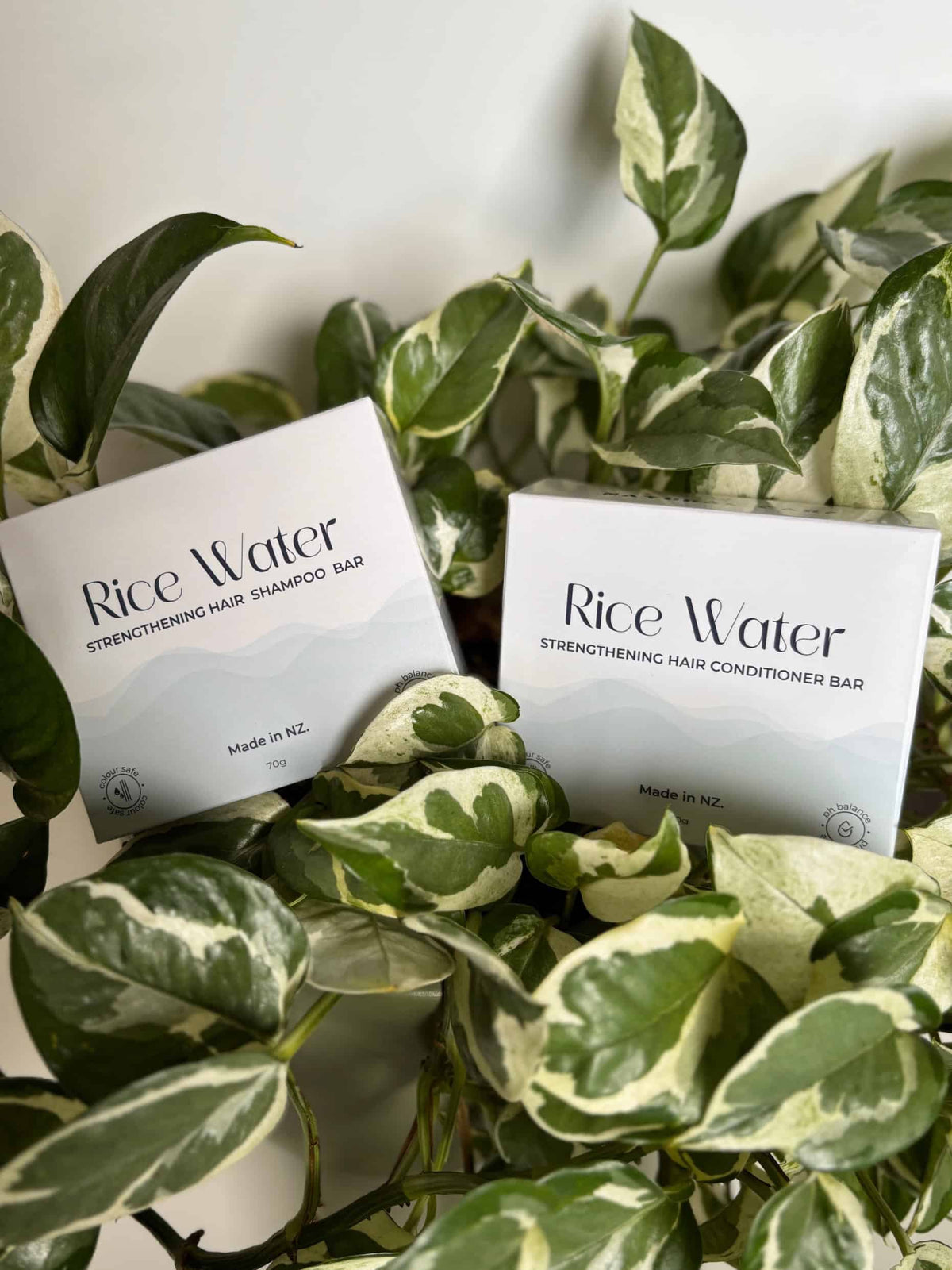 NaturalCare Rice Water boxes among leaves
