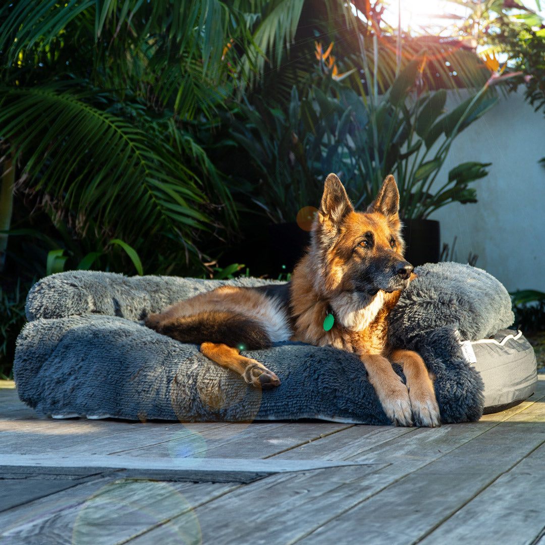 German Shepherd on a Brooklyn Luxe Lounger 2-in-1 dog bed with plush topper, outdoors