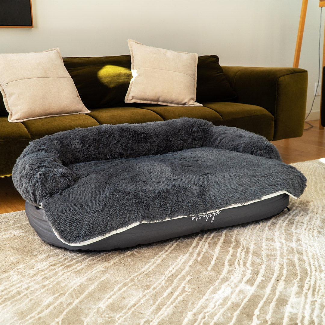 Brooklyn Luxe Lounger 2-in-1 dog bed with plush topper in a living room