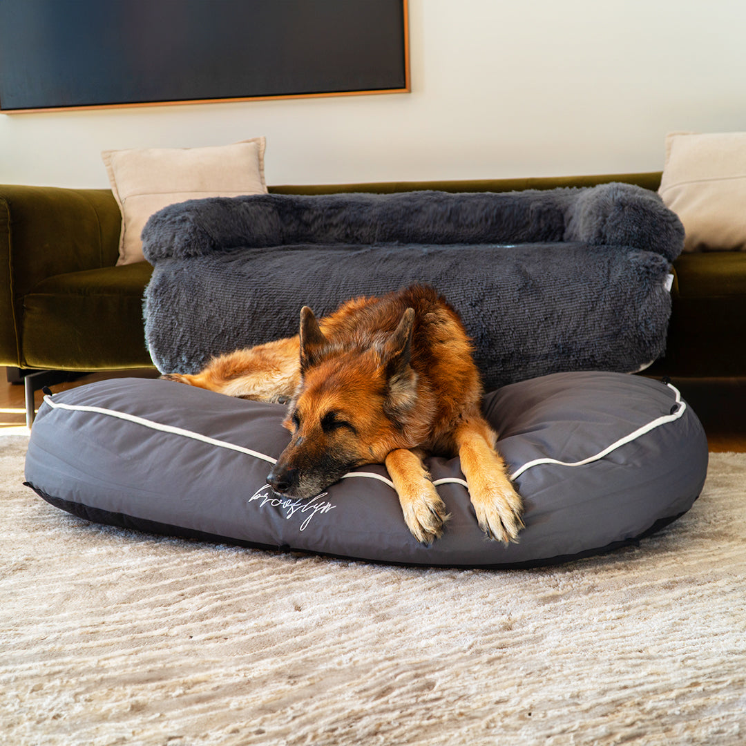 German Shepherd lying on a grey Brooklyn Luxe Lounger 2-in-1 dog bed