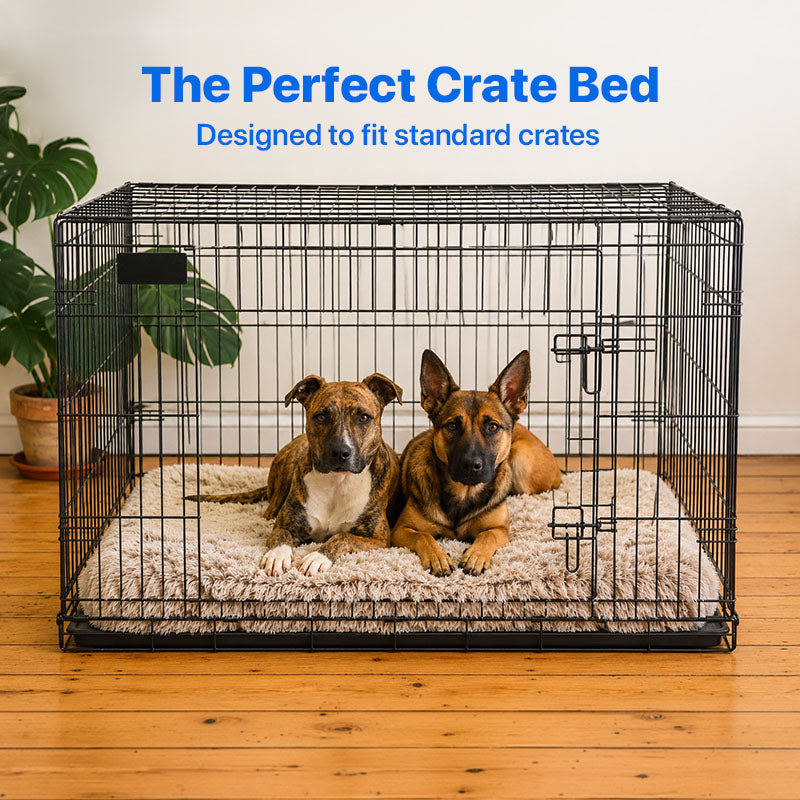 Two dogs lying on a Brooklyn Ultra memory foam dog bed inside a dog crate