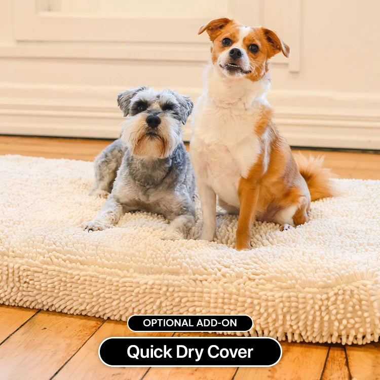 Two small dogs on a Brooklyn Ultra memory foam dog bed with the optional Quick Dry Cover