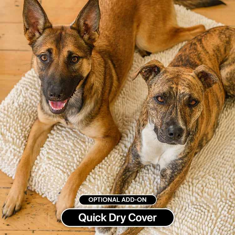 Two dogs on a Brooklyn Ultra memory foam dog bed with the optional Quick Dry Cover