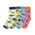Barekind Ocean Rainbow bundle: four pairs of bamboo socks with sharks, seals, orcas and puffins
