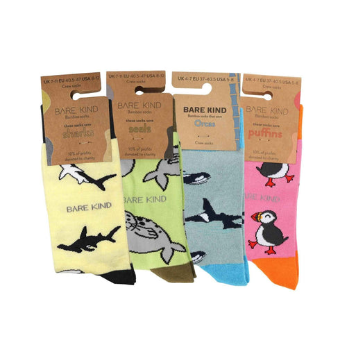 Barekind Ocean Rainbow bundle: four pairs of socks on their cardboard packaging tags
