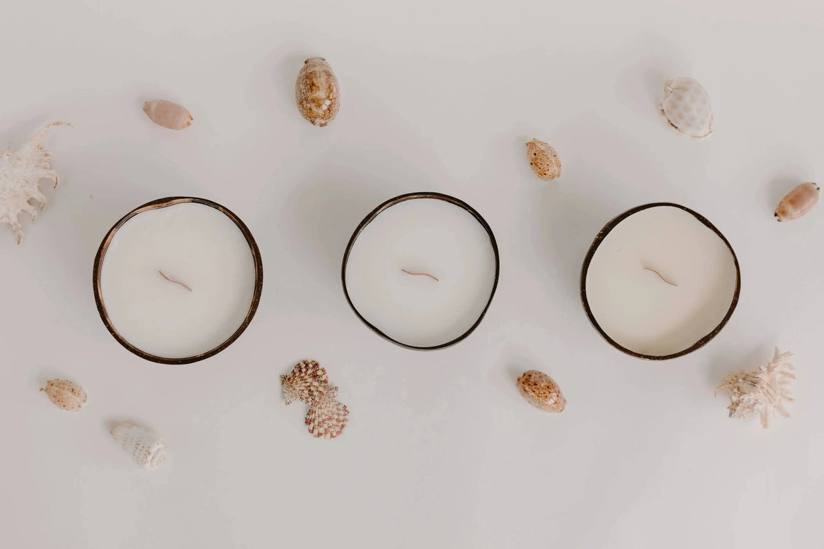 Three Strawberry Guava coconut shell candles in a row with shells