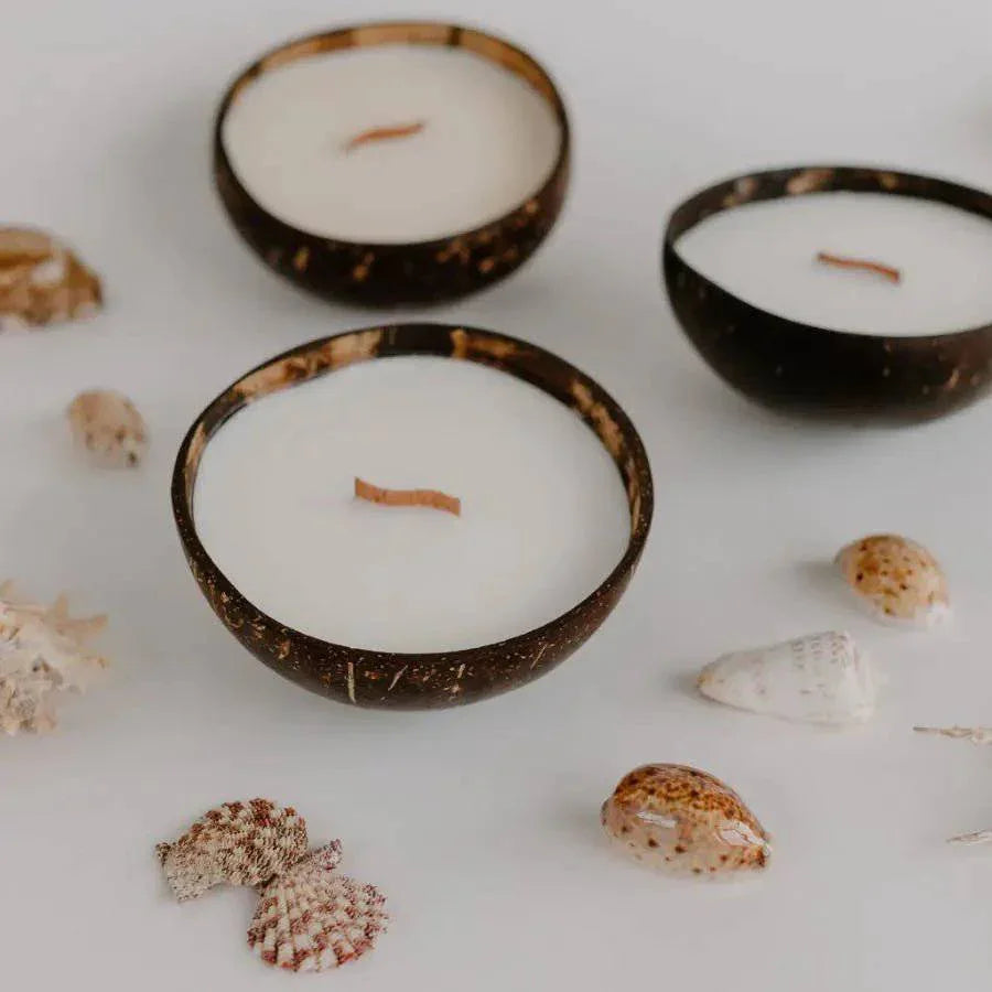 Three Strawberry Guava coconut shell candles with wood wicks, among shells