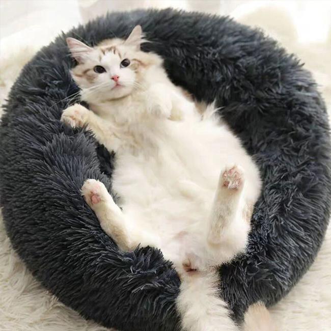 White and tabby cat lying on its back in a dark grey plush Brooklyn cat bed