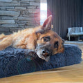 German Shepherd lying on a dark grey plush Brooklyn Ultra memory foam dog bed