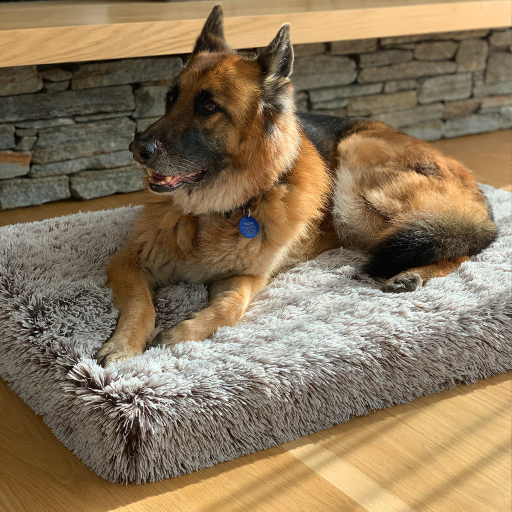 German Shepherd lying on a grey plush Brooklyn Ultra memory foam dog bed