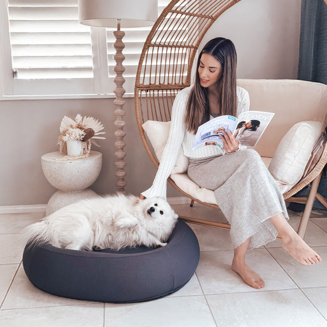 Woman reading beside a white dog in a dark grey Brooklyn Nest dog bed