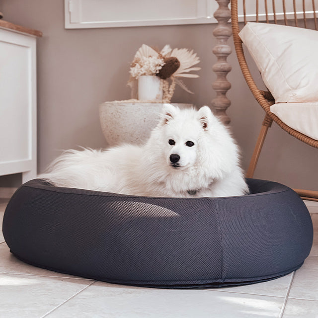White fluffy dog lying in a dark grey Brooklyn Nest dog bed