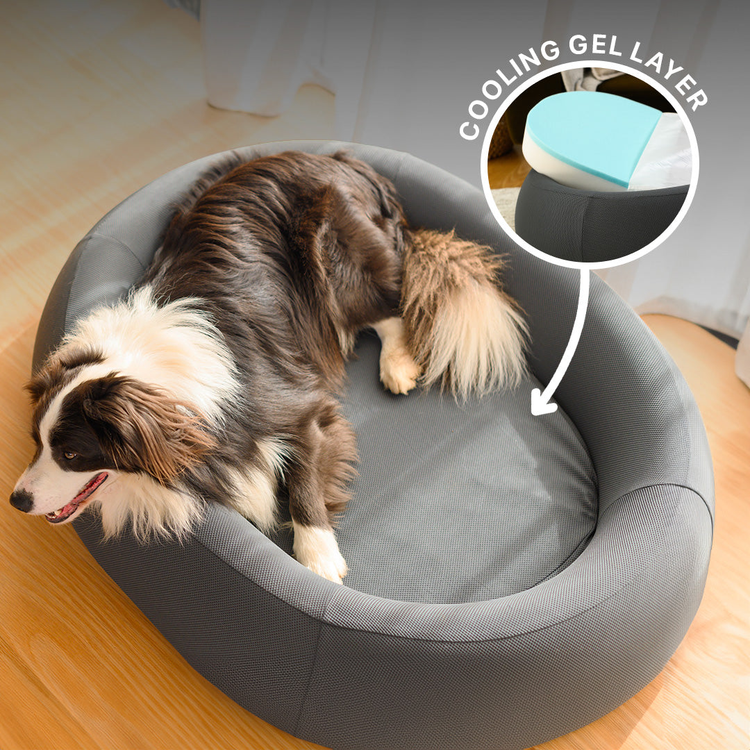 Border collie in a grey Brooklyn Nest dog bed, with a close-up of the inner pad