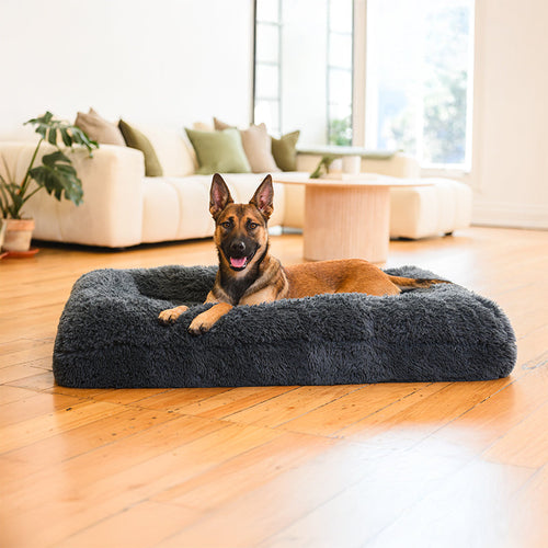 German Shepherd lying on a dark grey Brooklyn memory foam bolster dog bed in a living room