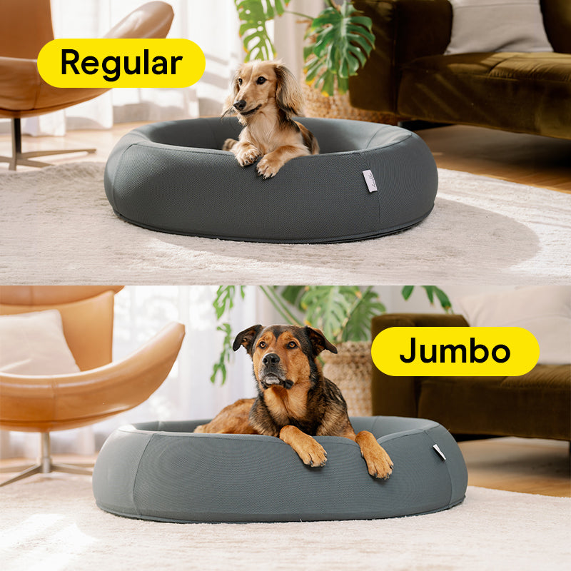 Regular and Jumbo sizes of the Brooklyn Nest dog bed with dogs