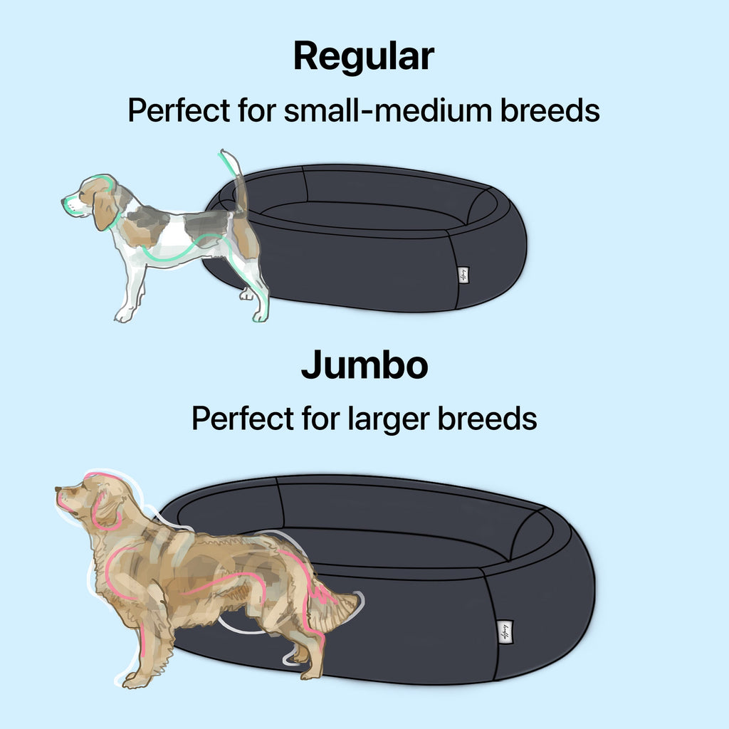 Regular and Jumbo Brooklyn Nest dog bed sizes shown with small-medium and large dog outlines