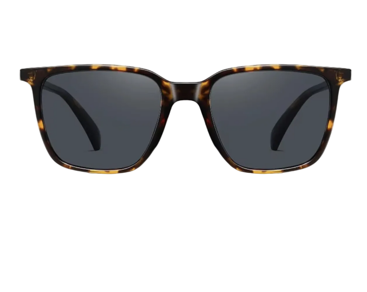 URBA VISTA Azure tortoiseshell sunglasses, front view
