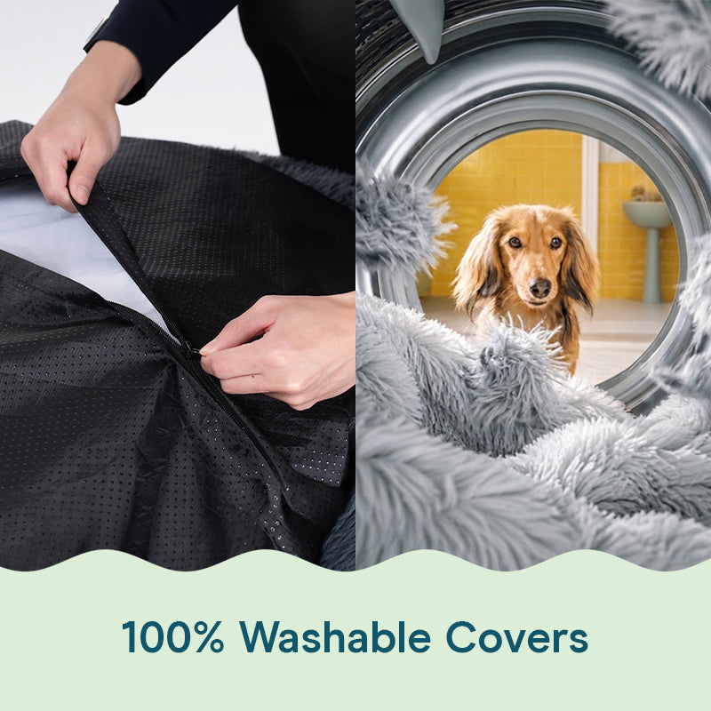 Removing the cover from a Brooklyn dog bed, and a cover in a washing machine